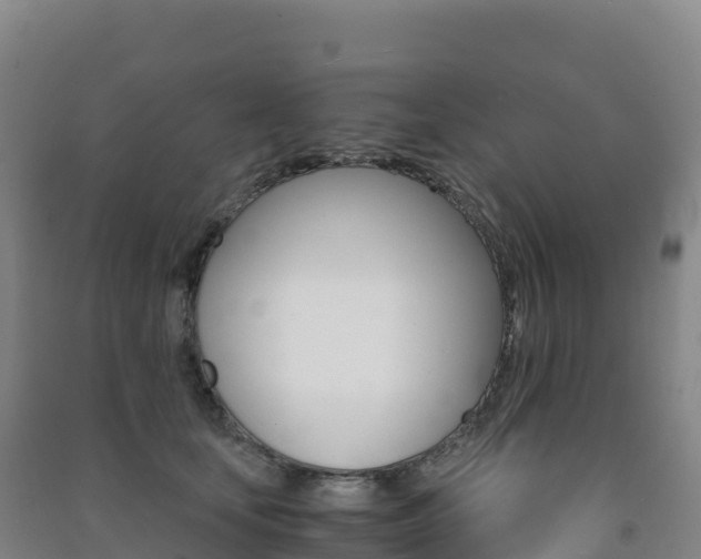 X0000091480659200708161149