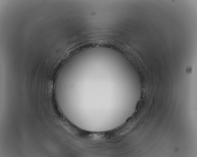 X0000091480660200708161149