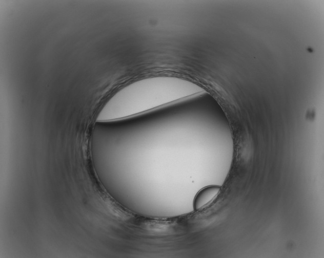 X0000091480661200708161149
