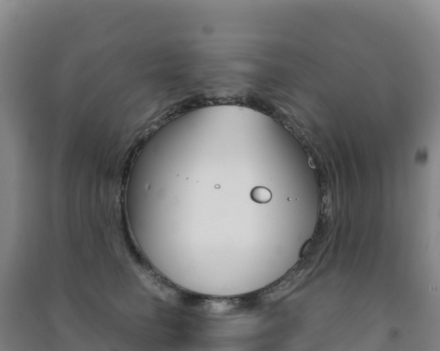 X0000091480662200708161149