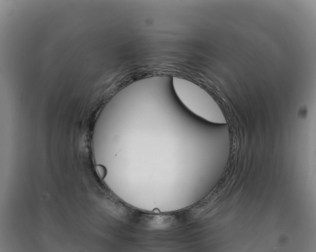 X0000091480663200708161149