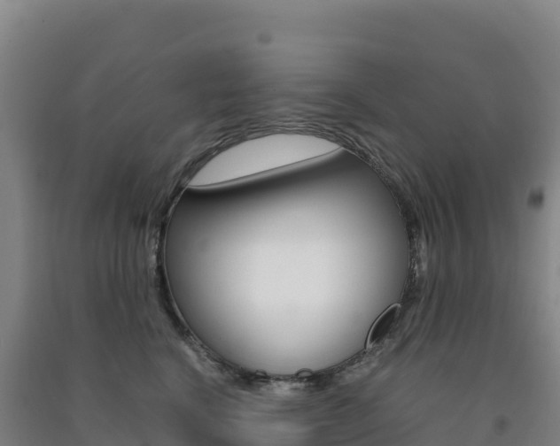 X0000091480664200708161149