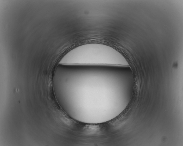 X0000091480665200708161149