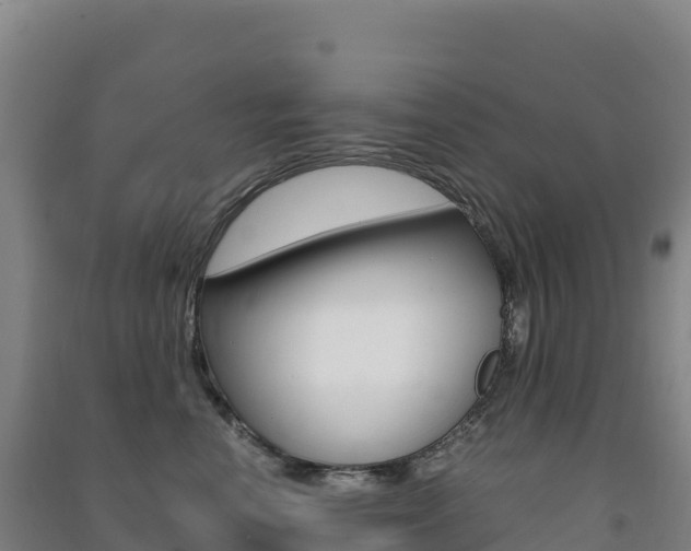 X0000091480666200708161149