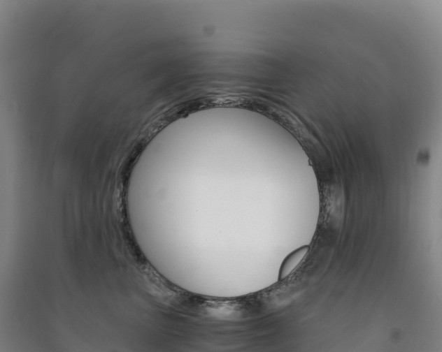 X0000091480667200708161149