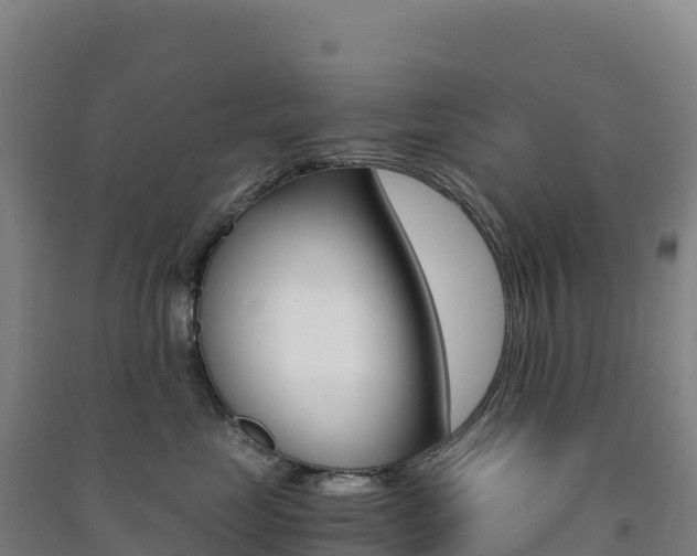 X0000091480669200708161149