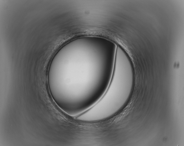 X0000091480673200708161149