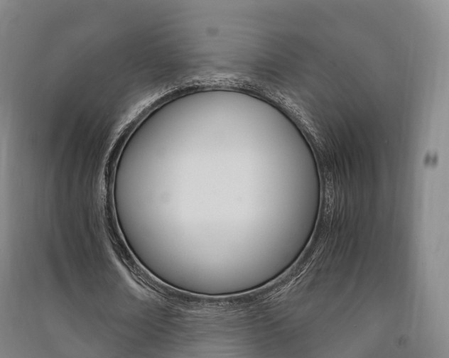 X0000091480674200708161149