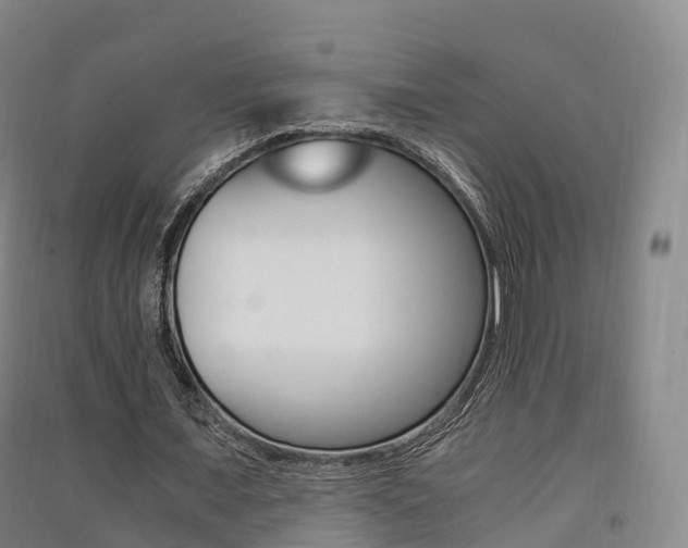 X0000091480675200708161149
