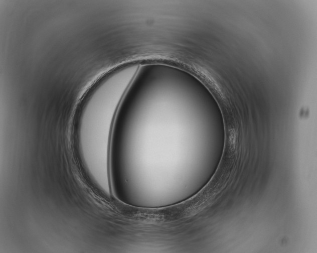 X0000091480676200708161149