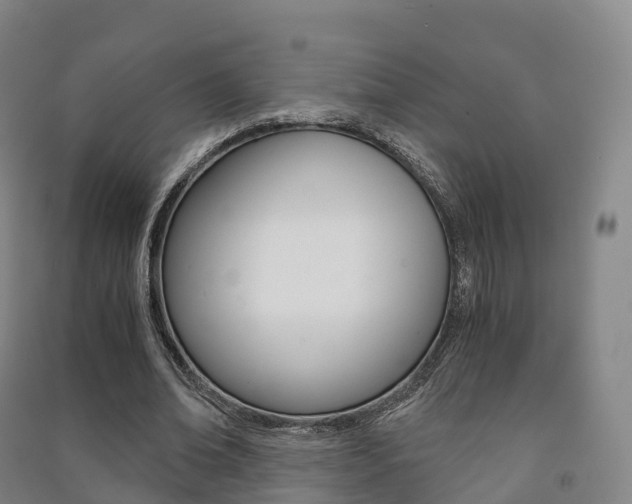 X0000091480678200708161149