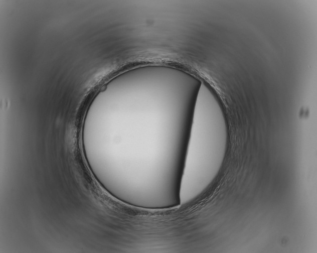 X0000091480679200708161149