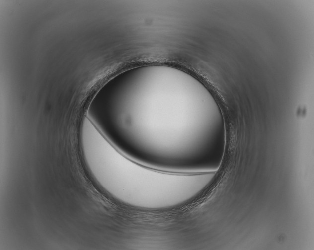 X0000091480681200708161149