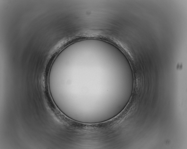 X0000091480682200708161149