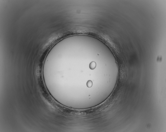 X0000091480683200708161149