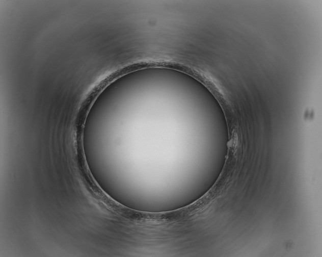 X0000091480684200708161149