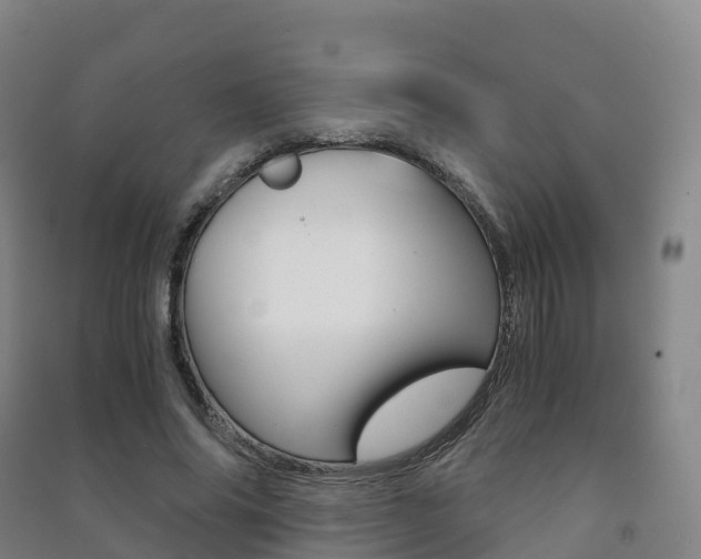 X0000091480686200708161149