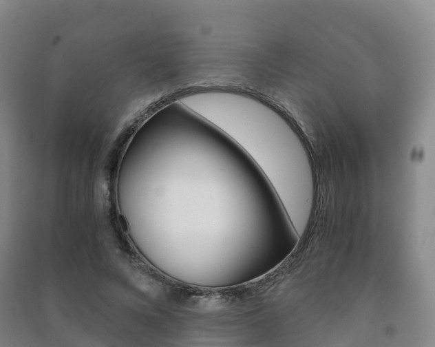 X0000091480688200708161149
