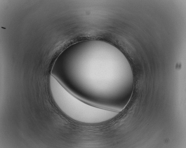 X0000091480689200708161149