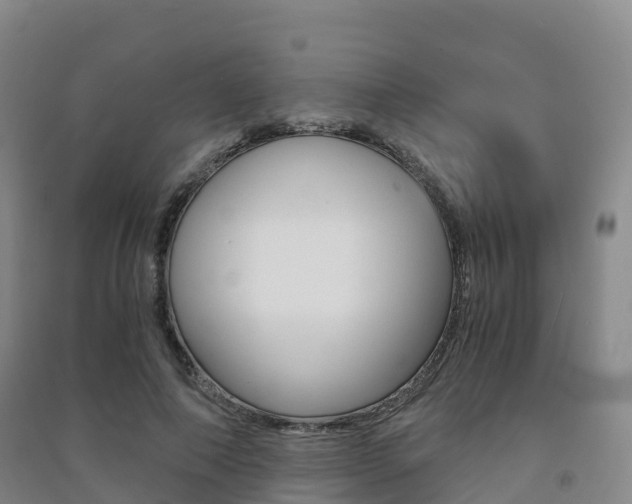 X0000091480690200708161149
