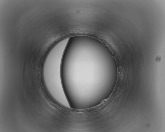 X0000091480692200708161149