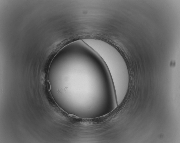 X0000091480693200708161149