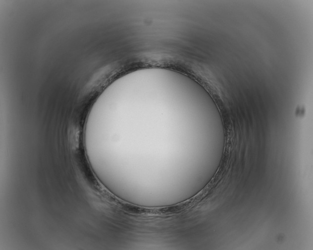 X0000091480694200708161149