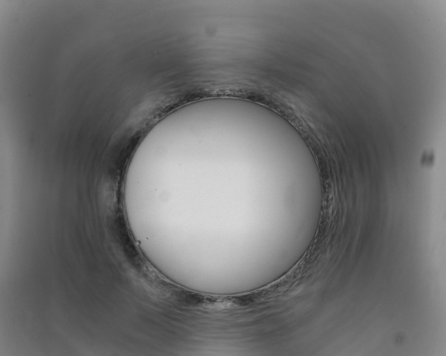 X0000091480695200708161149
