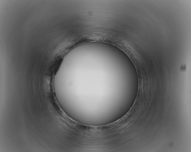 X0000091480696200708161149