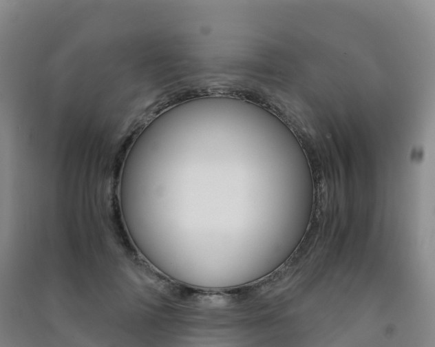 X0000091480698200708161149