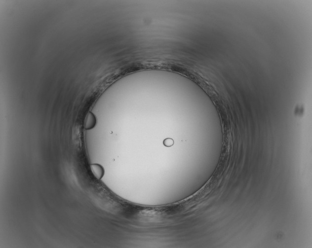 X0000091480699200708161149