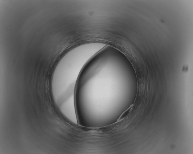 X0000091480700200708161149