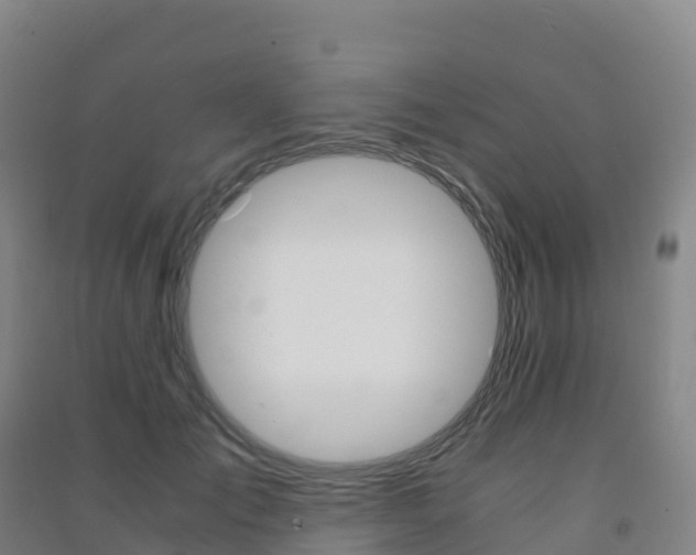 X0000091480701200708161149