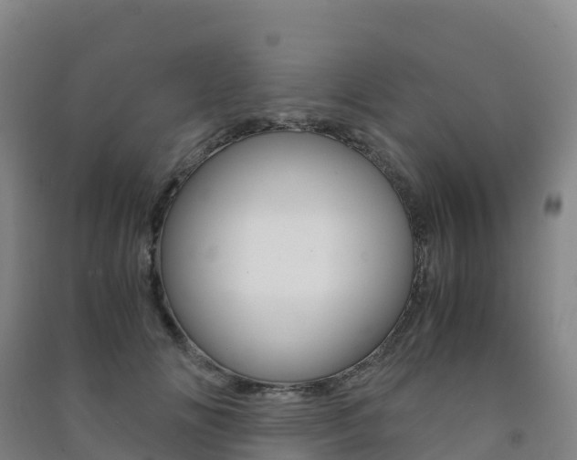 X0000091480702200708161149