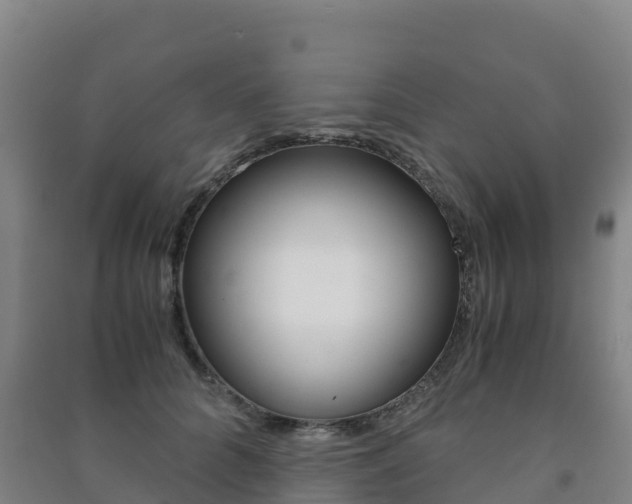 X0000091480704200708161149