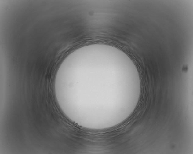 X0000091480705200708161149