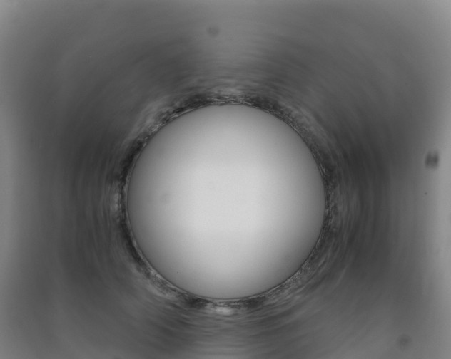 X0000091480706200708161148