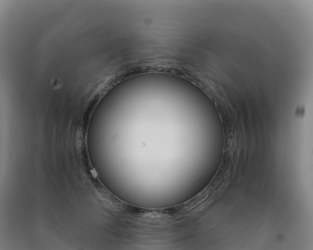 X0000091480708200708161148