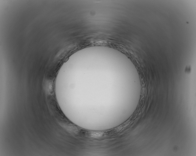 X0000091480709200708161148