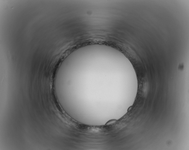 X0000091480710200708161148