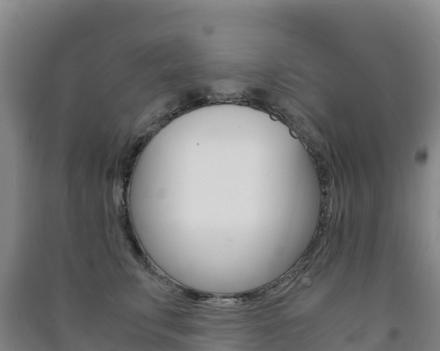 X0000091480711200708161148