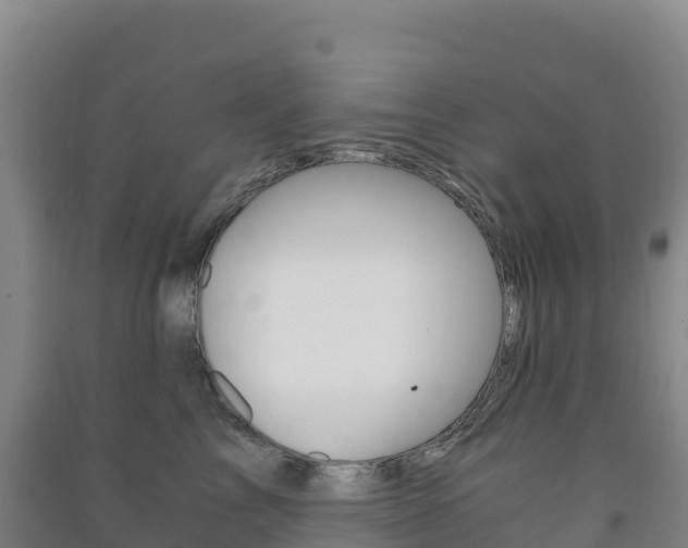 X0000091480713200708161148