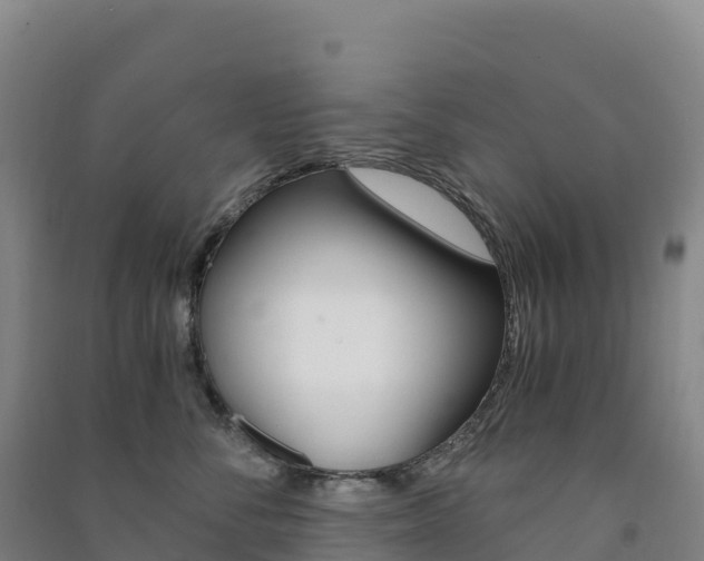 X0000091480716200708161148