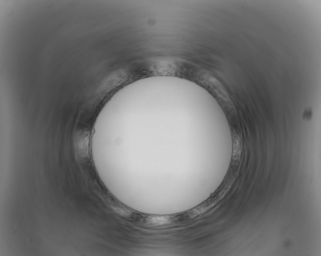 X0000091480717200708161148
