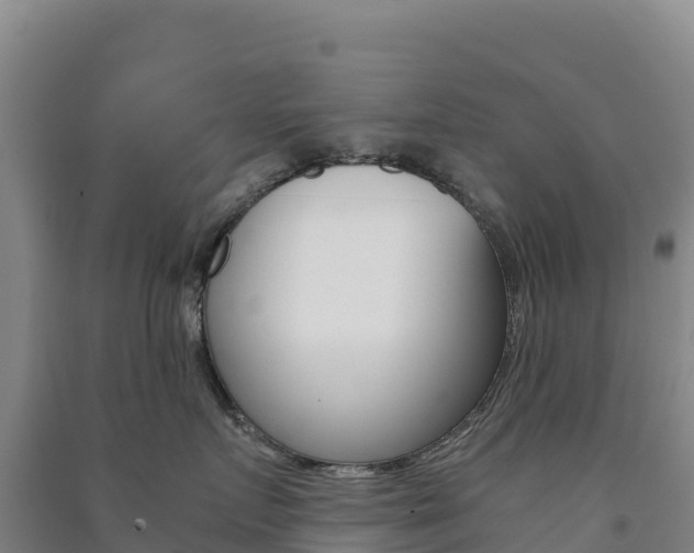 X0000091480719200708161148