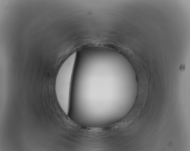 X0000091480720200708161148