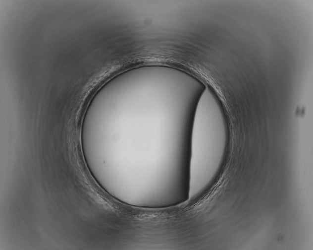 X0000091480721200708161147