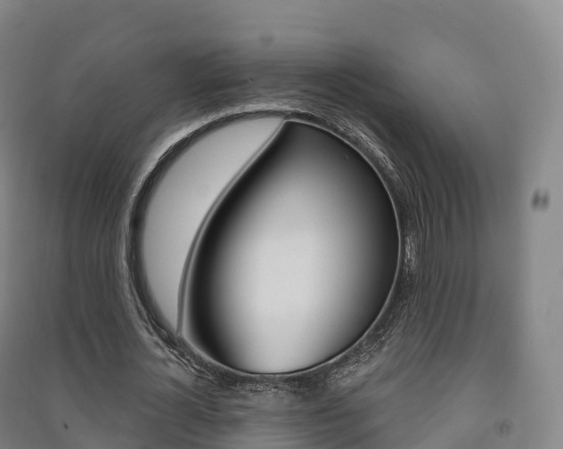 X0000091480724200708161147