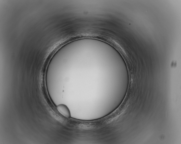 X0000091480725200708161147