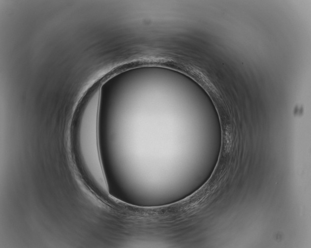 X0000091480726200708161147